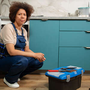 Major Domestic Appliance Repairer